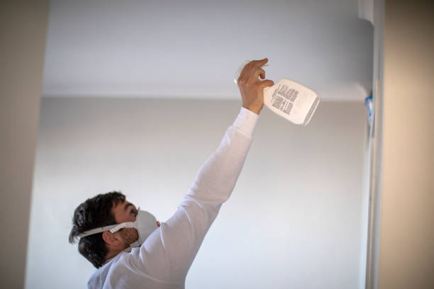 Best Mold Removal Company Near Me  in Zebulon, GA