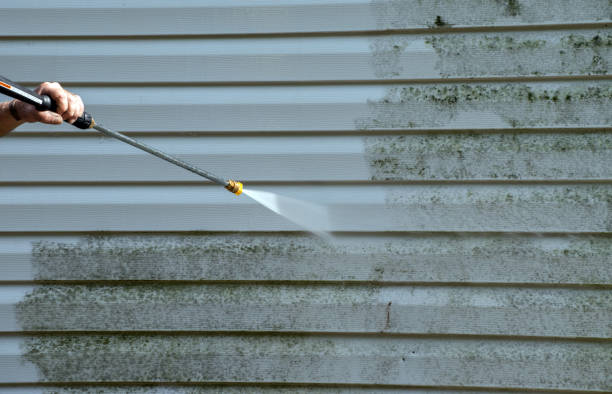 Best Toxic Mold Removal  in Zebulon, GA