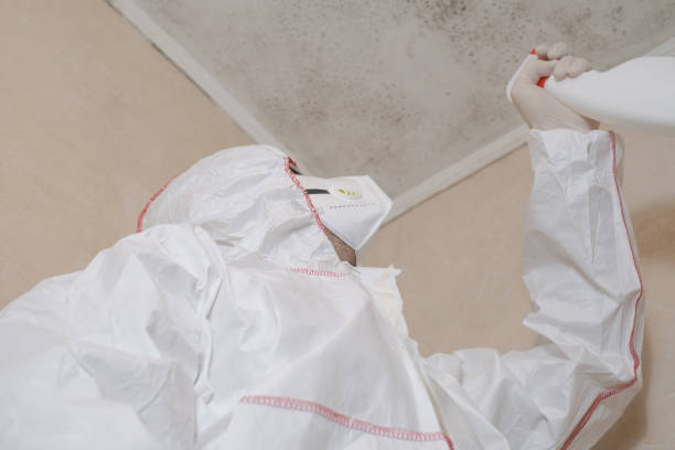 Best Commercial Mold Removal  in Zebulon, GA
