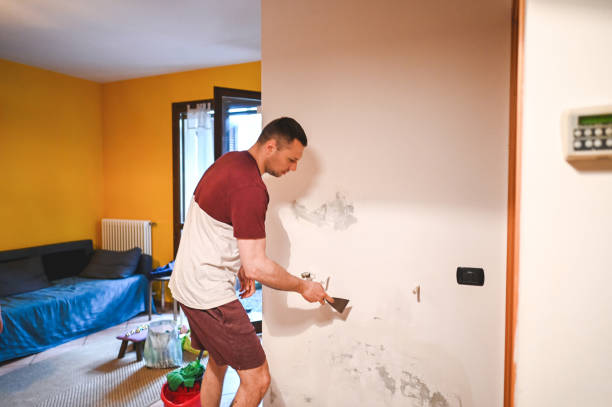  Zebulon, GA Mold Removal Pros