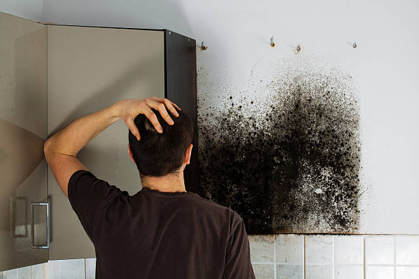 Best Home Mold Removal  in Zebulon, GA